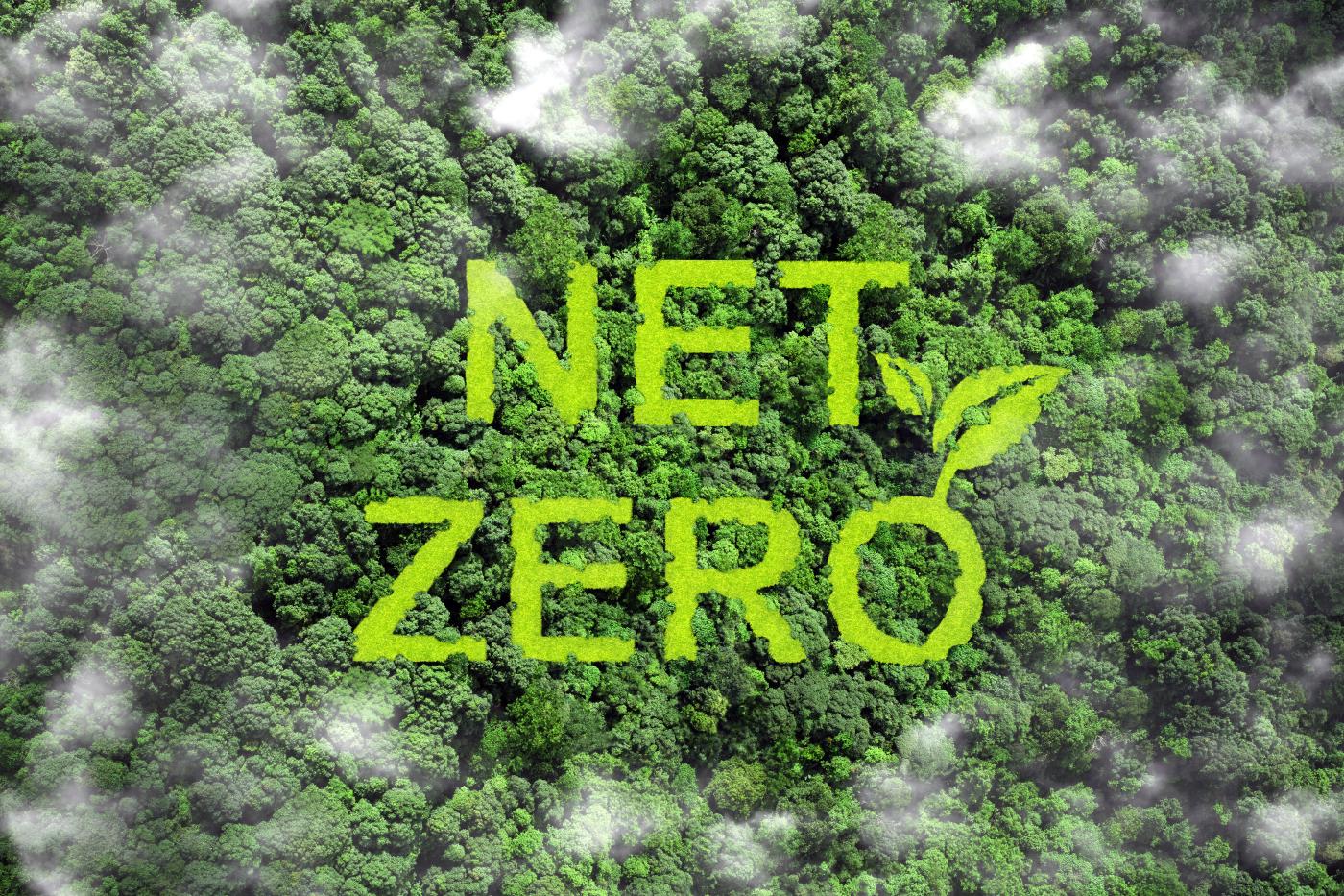 Klimaneutrale Datenspeicherung: NET ZERO Foto: pcess609/iStock